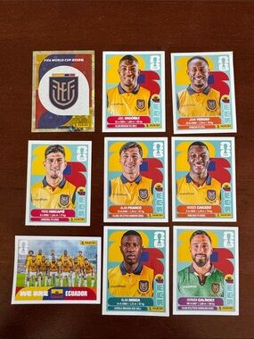 Panini FIFA Ecuador Football Team Sticker Pack Set